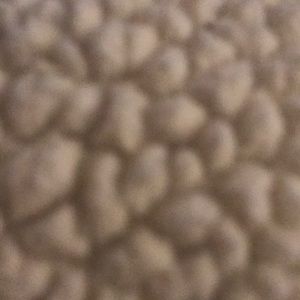 Meet your Posher, Steven